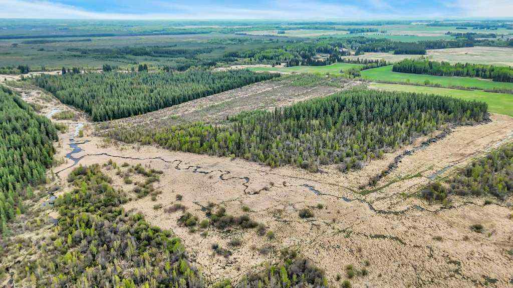MLS® A2221361 - NW S11-T46-R7 W5 Twp Rd 462   in NONE Rural Wetaskiwin No. 10, County of, Land