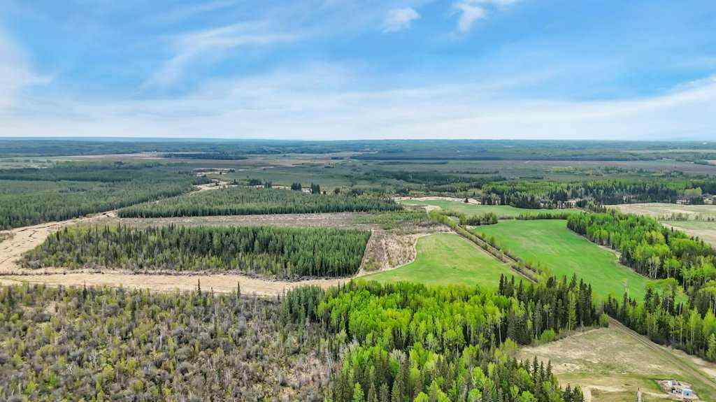 MLS® A2221361 - NW S11-T46-R7 W5 Twp Rd 462   in NONE Rural Wetaskiwin No. 10, County of, Land