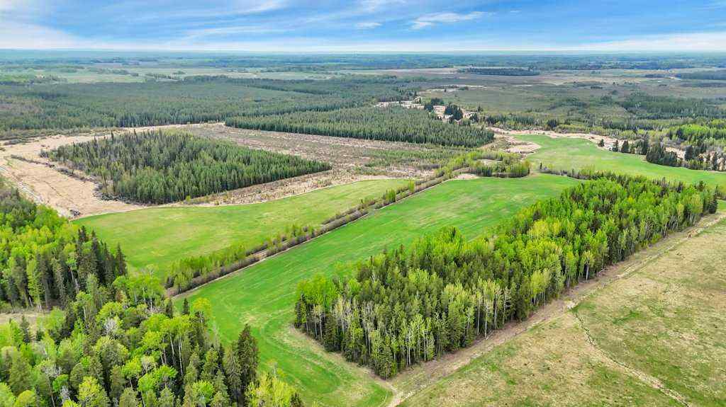 MLS® A2221361 - NW S11-T46-R7 W5 Twp Rd 462   in NONE Rural Wetaskiwin No. 10, County of, Land