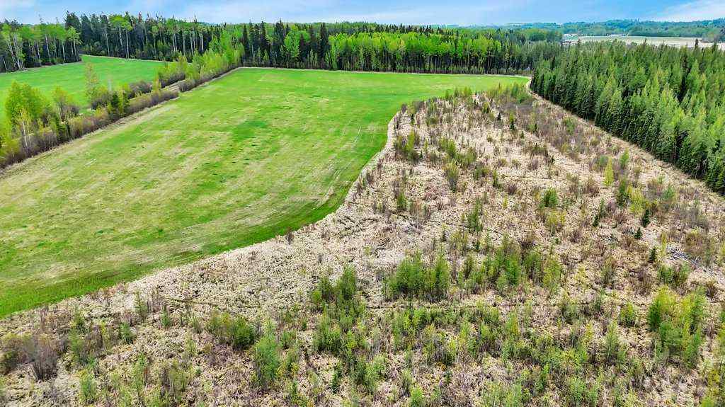 MLS® A2221361 - NW S11-T46-R7 W5 Twp Rd 462   in NONE Rural Wetaskiwin No. 10, County of, Land