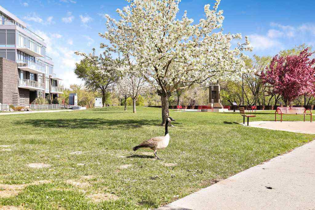 MLS® A2221383 - Unit #451 222 Riverfront Avenue SW in Chinatown Calgary, Residential