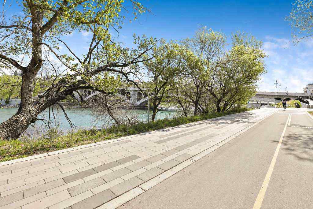 MLS® A2221383 - Unit #451 222 Riverfront Avenue SW in Chinatown Calgary, Residential