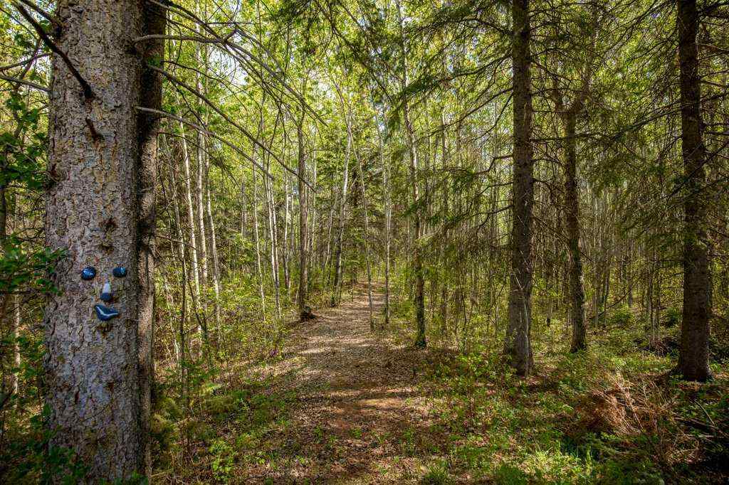 MLS® A2221467 - 422005 Range Road 20   in NONE Rural Ponoka County, Residential