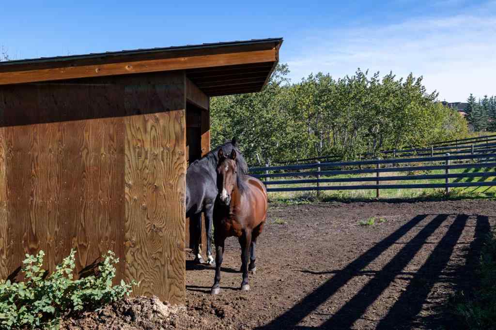 MLS® A2221514 - 30124 Bunny Hollow Drive  in Bearspaw_Calg Rural Rocky View County, Residential