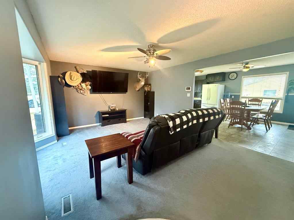 MLS® A2221528 - 5319 55 Avenue  in Viking Viking, Residential