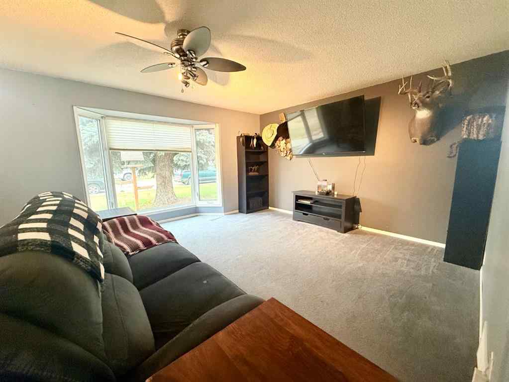 MLS® A2221528 - 5319 55 Avenue  in Viking Viking, Residential