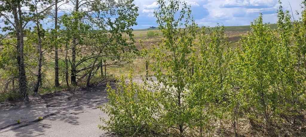MLS® A2221530 - 402085 6 Street W in NONE Rural Foothills County, Land