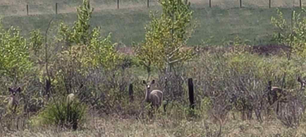 MLS® A2221530 - 402085 6 Street W in NONE Rural Foothills County, Land