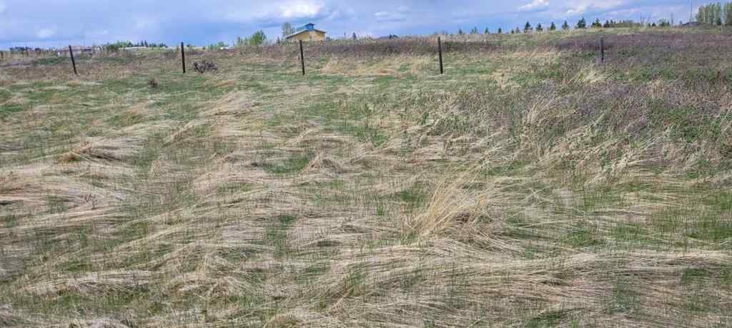 MLS® A2221530 - 402085 6 Street W in NONE Rural Foothills County, Land