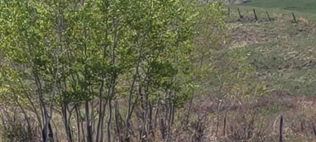MLS® A2221530 - 402085 6 Street W in NONE Rural Foothills County, Land