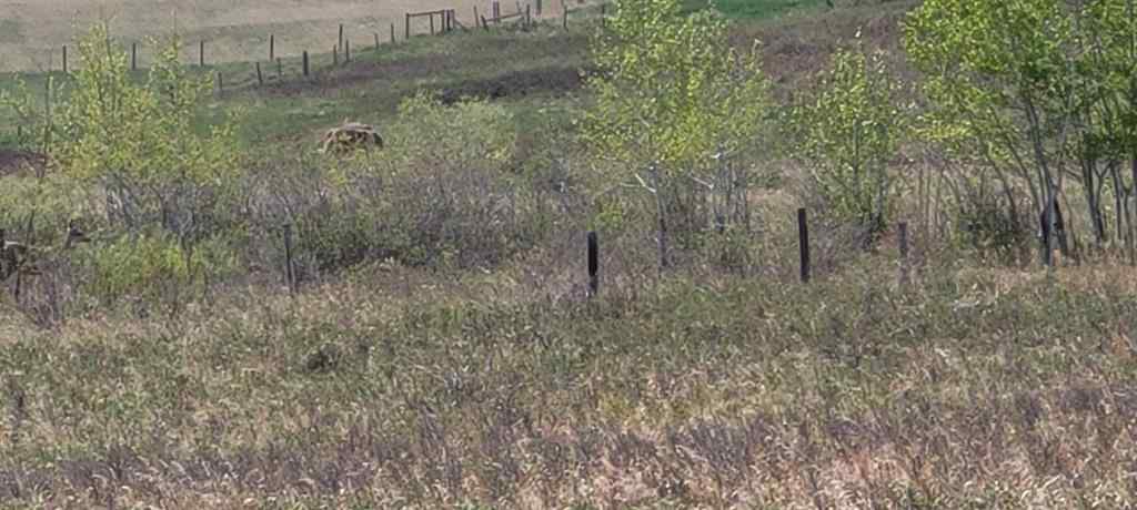 MLS® A2221530 - 402085 6 Street W in NONE Rural Foothills County, Land