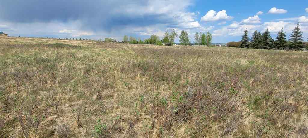 MLS® A2221530 - 402085 6 Street W in NONE Rural Foothills County, Land