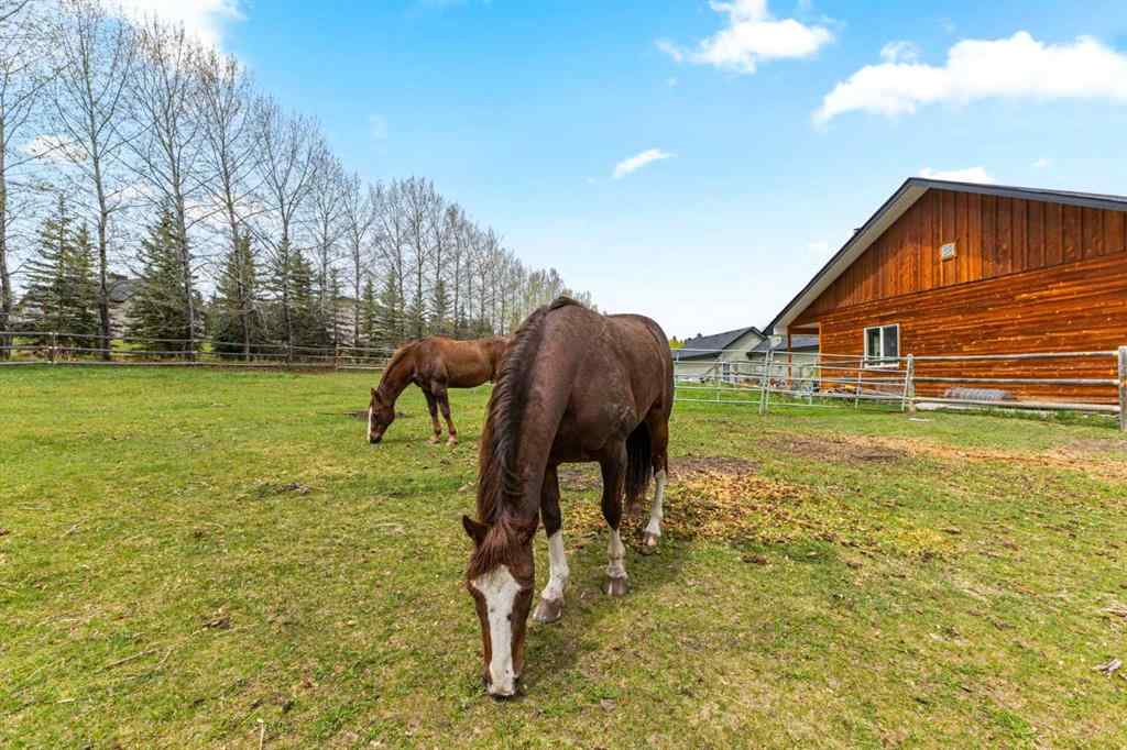 MLS® A2221603 - 288017 160 Avenue W in NONE Rural Foothills County, Residential