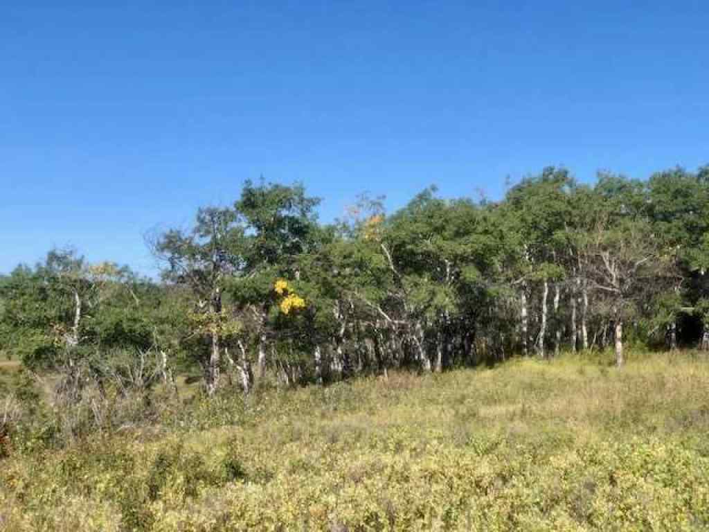 MLS® A2221806 -  306 Avenue W in NONE Rural Foothills County, Land
