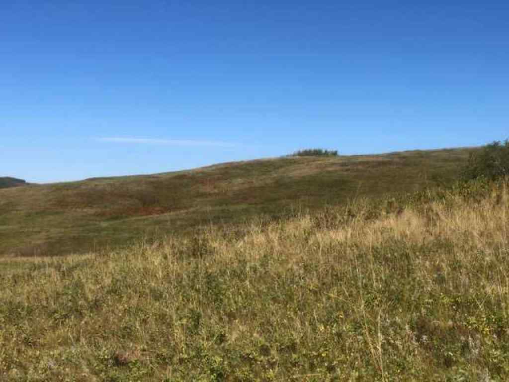 MLS® A2221806 -  306 Avenue W in NONE Rural Foothills County, Land