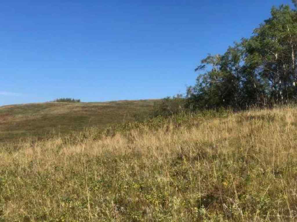 MLS® A2221806 -  306 Avenue W in NONE Rural Foothills County, Land