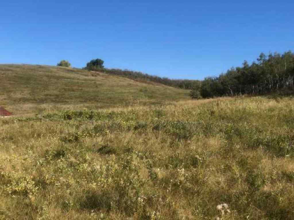 MLS® A2221806 -  306 Avenue W in NONE Rural Foothills County, Land