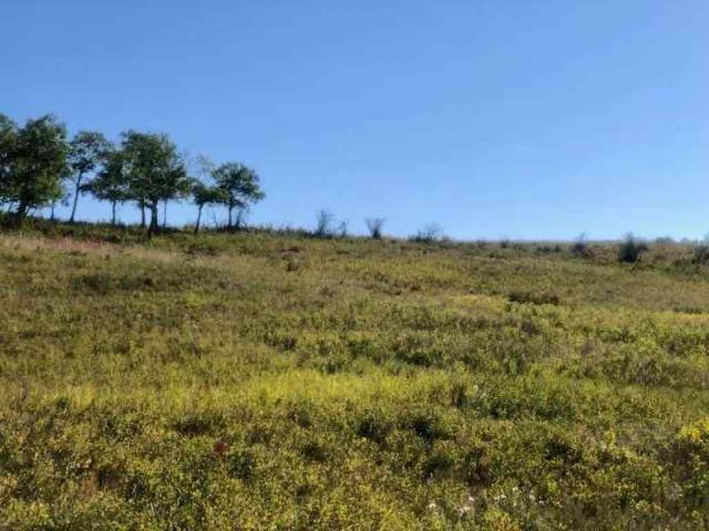 MLS® A2221806 -  306 Avenue W in NONE Rural Foothills County, Land