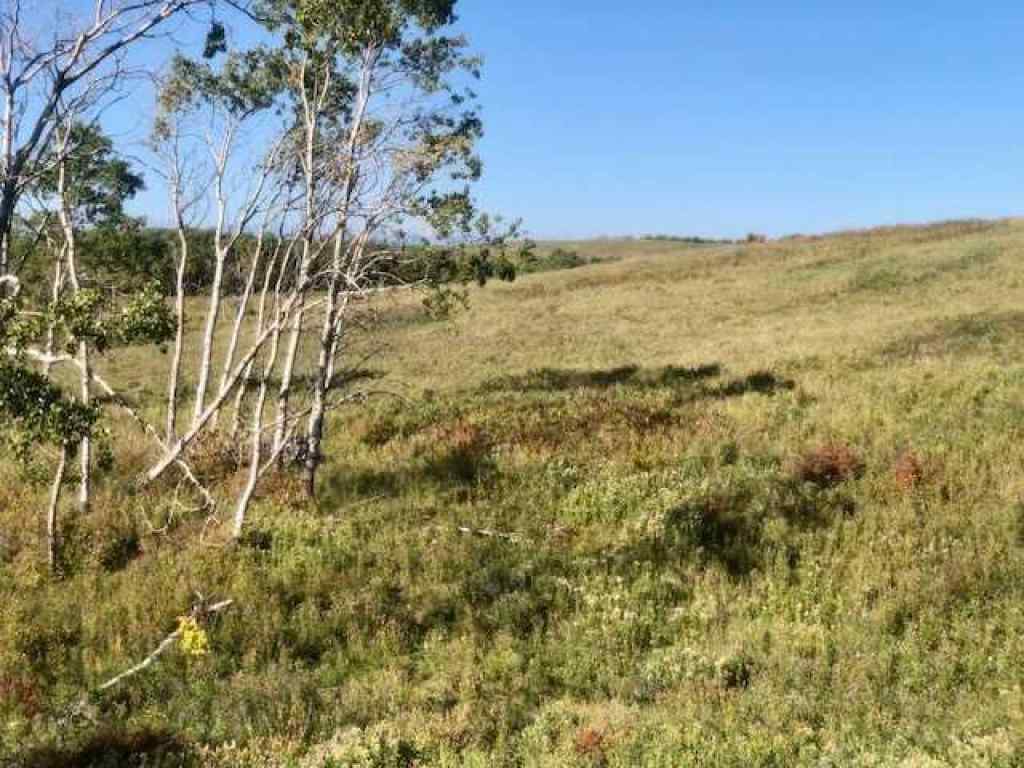 MLS® A2221806 -  306 Avenue W in NONE Rural Foothills County, Land