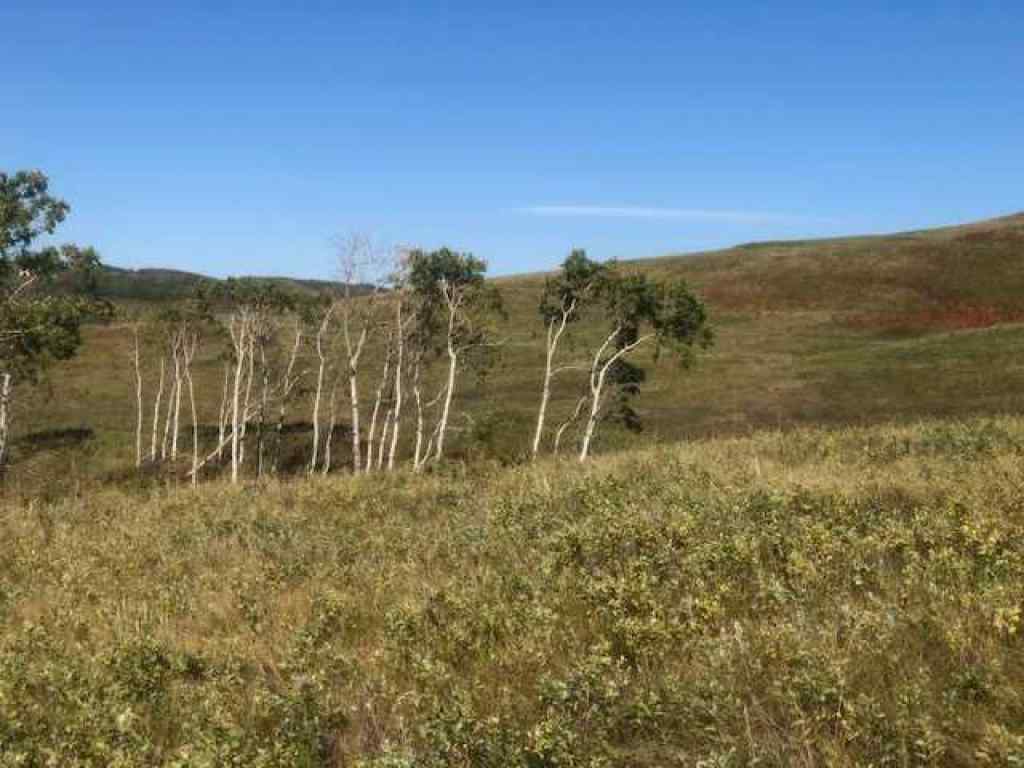 MLS® A2221806 -  306 Avenue W in NONE Rural Foothills County, Land