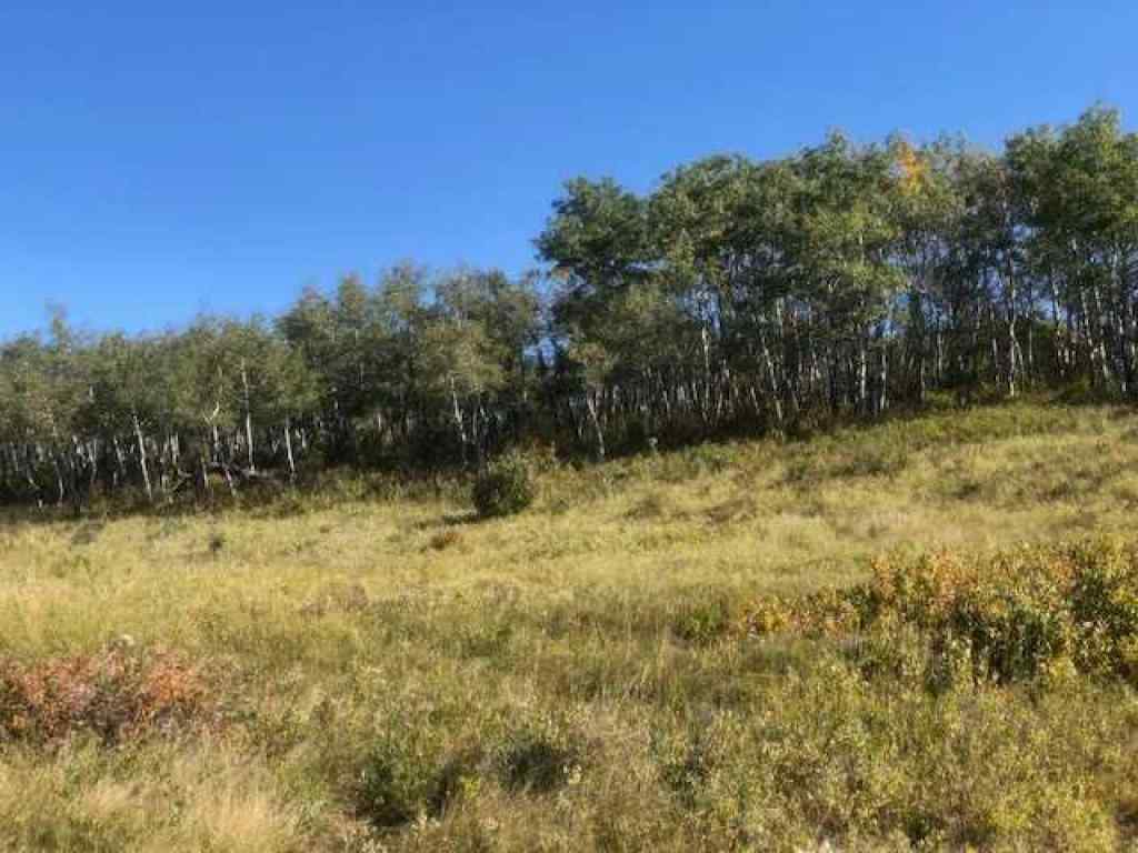 MLS® A2221806 -  306 Avenue W in NONE Rural Foothills County, Land