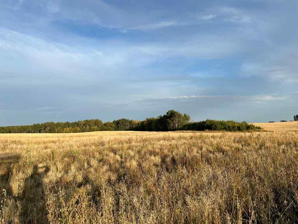 MLS® A2221882 - Unit #36 421057 Range Road 284   in Skyview Pointe Rural Ponoka County, Land