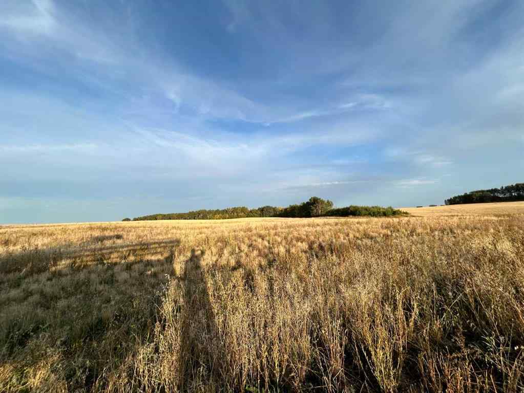 MLS® A2221882 - Unit #36 421057 Range Road 284   in Skyview Pointe Rural Ponoka County, Land