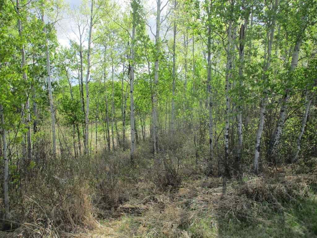 MLS® A2222000 - 230070 Twp Rd 920   in NONE Rural Northern Lights, County of, Residential