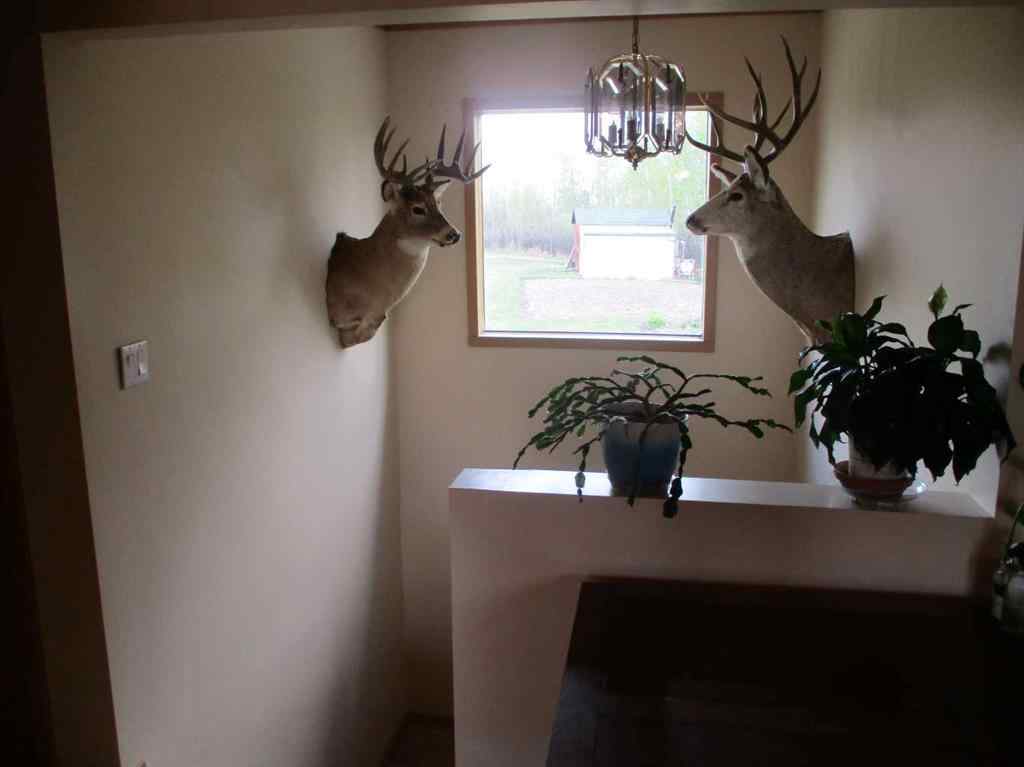 MLS® A2222000 - 230070 Twp Rd 920   in NONE Rural Northern Lights, County of, Residential