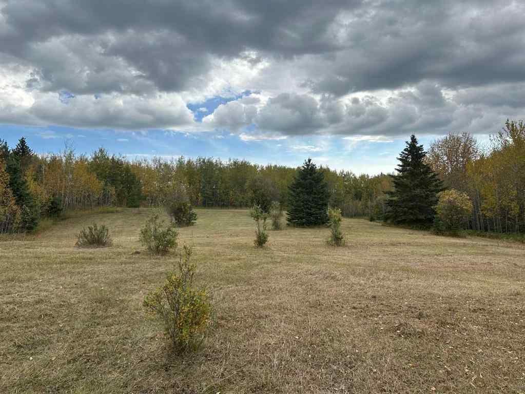 MLS® A2222014 - 61015 Range Road 174   in NONE Rural Smoky Lake County, Land