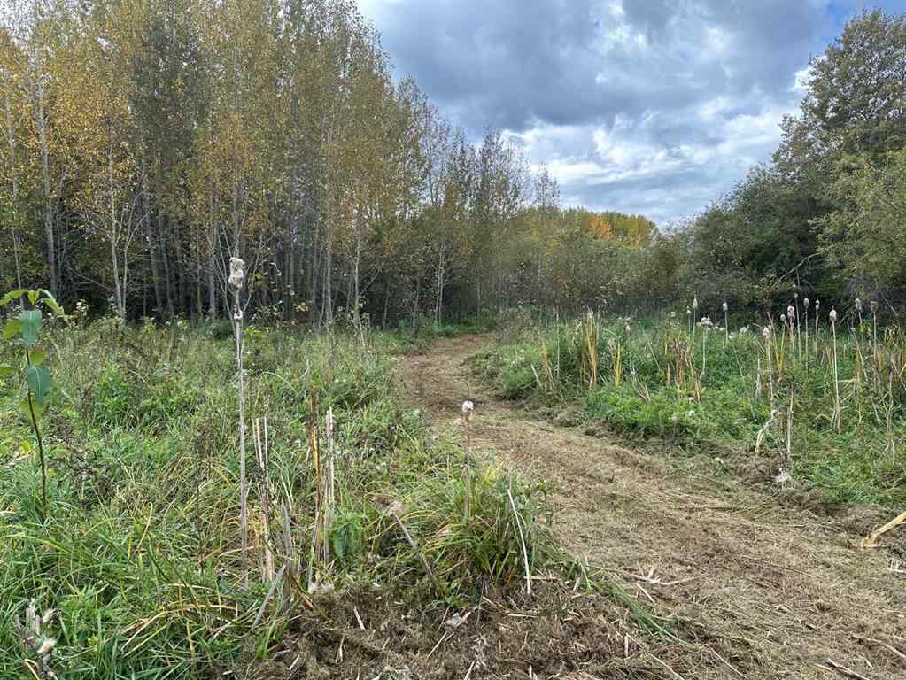 MLS® A2222014 - 61015 Range Road 174   in NONE Rural Smoky Lake County, Land