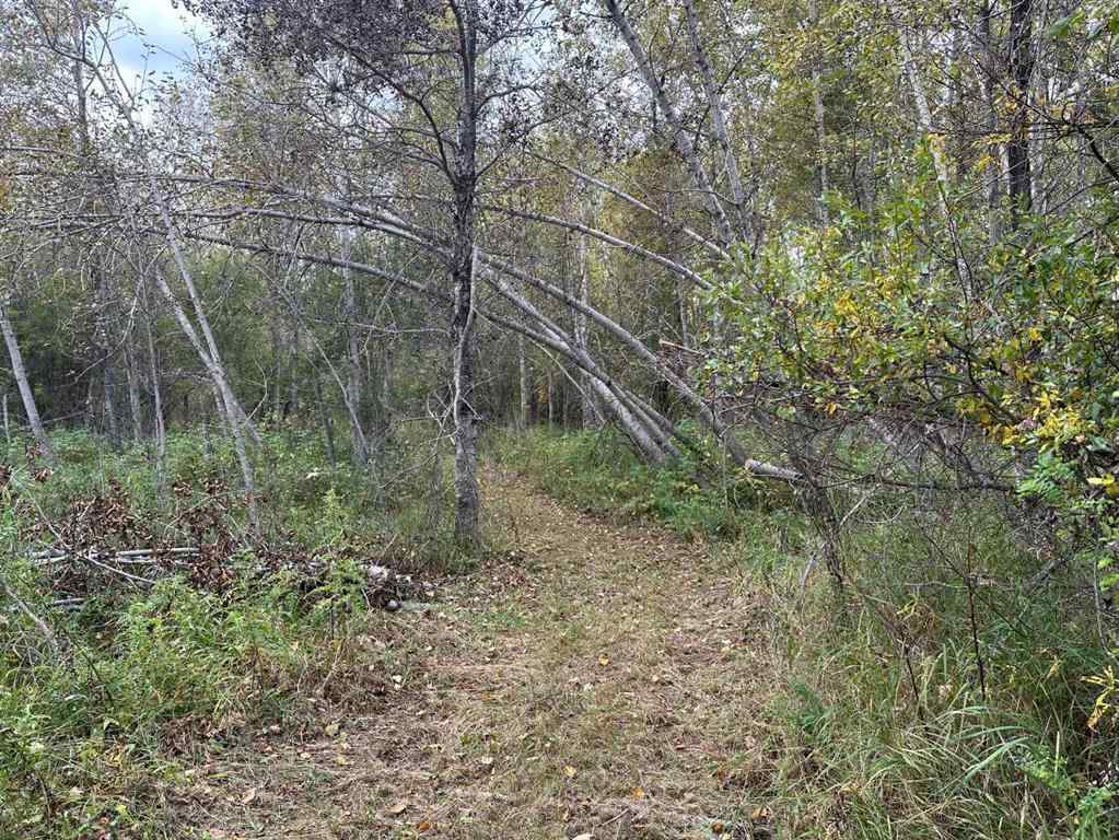 MLS® A2222014 - 61015 Range Road 174   in NONE Rural Smoky Lake County, Land