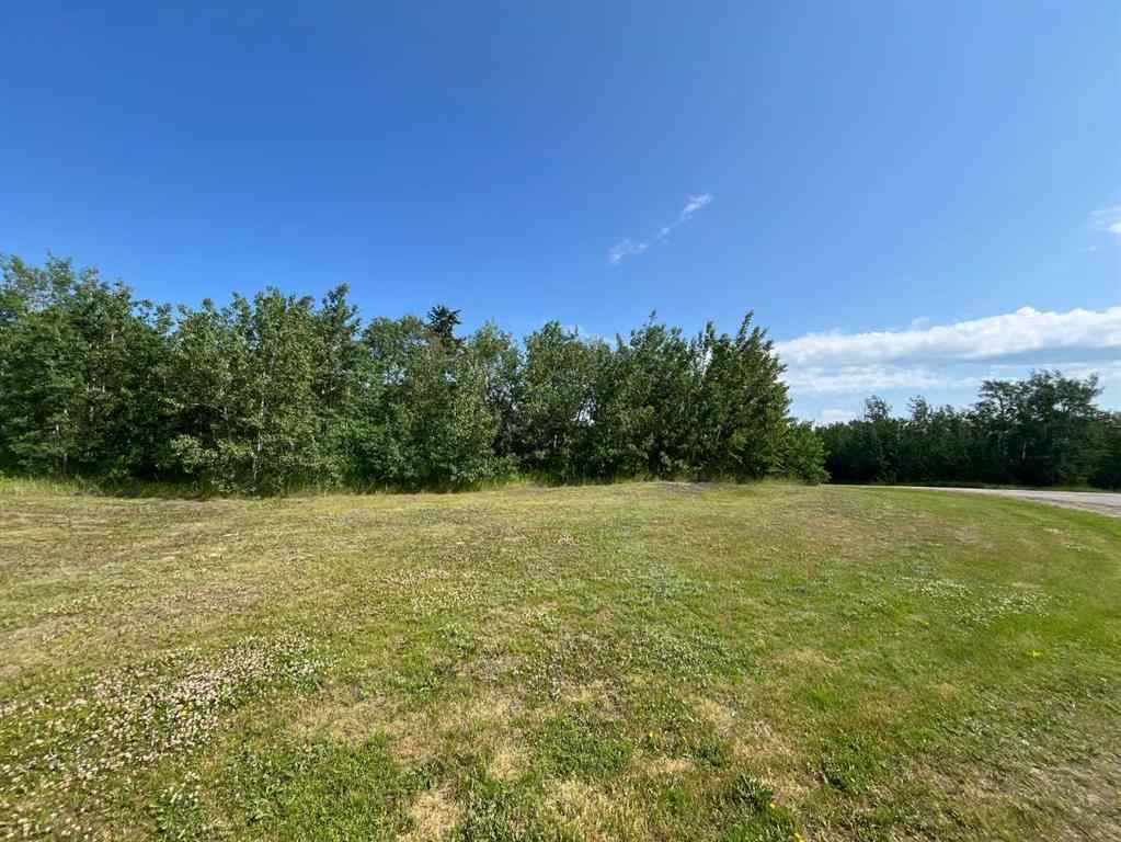 MLS® A2222146 - 12 Wolf Run Drive   in Wolf Creek Village Rural Ponoka County, Land