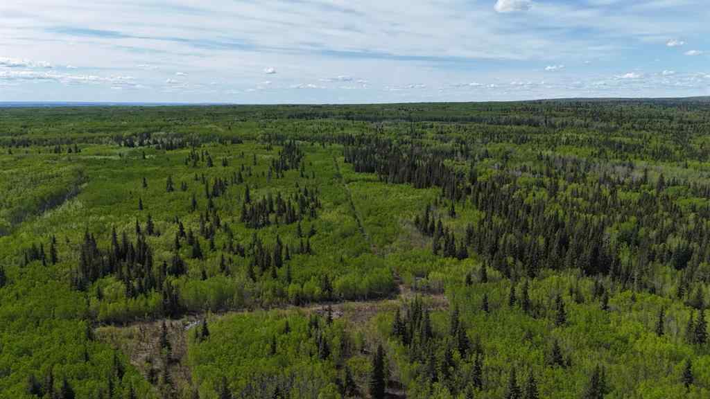 MLS® A2222367 -  Se 21 84 3 W6   in NONE Rural Clear Hills County, Residential