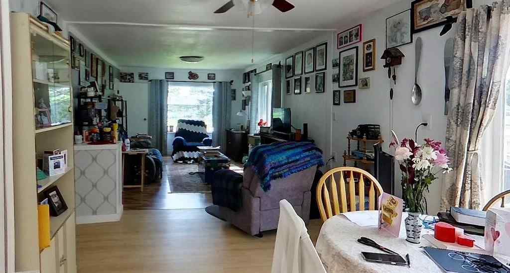 MLS® A2222372 - 5103 51 Ave   in Peers Peers, Residential