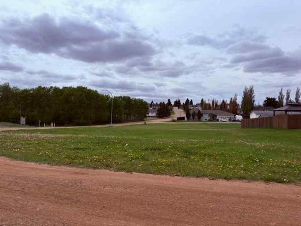 MLS® A2222435 - 4404 51 Avenue  in Hardisty Hardisty, Land