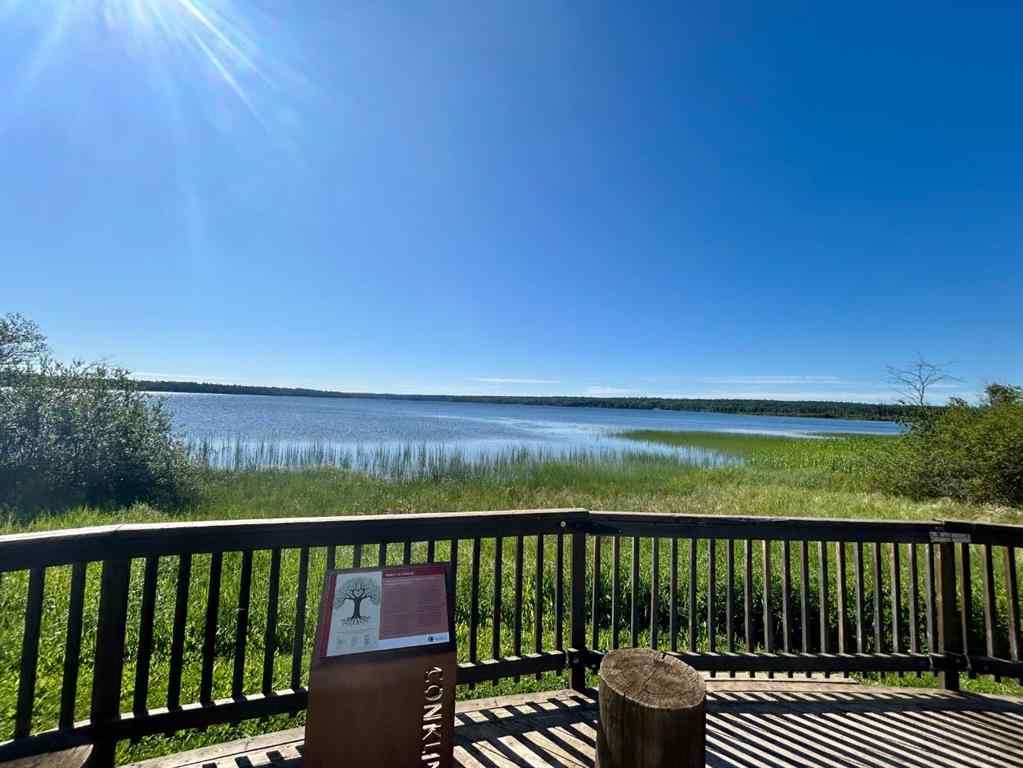 MLS® A2222604 - 193 Christina Lake Drive   in Conklin Conklin, Land