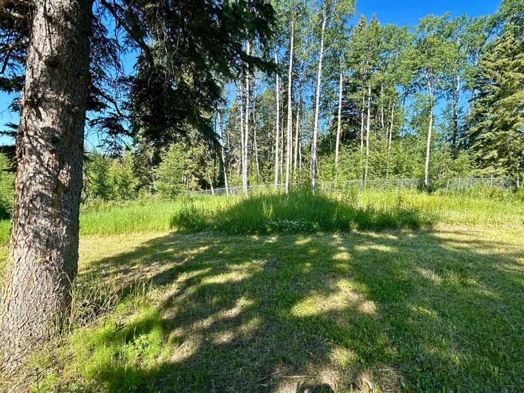 MLS® A2222604 - 193 Christina Lake Drive   in Conklin Conklin, Land