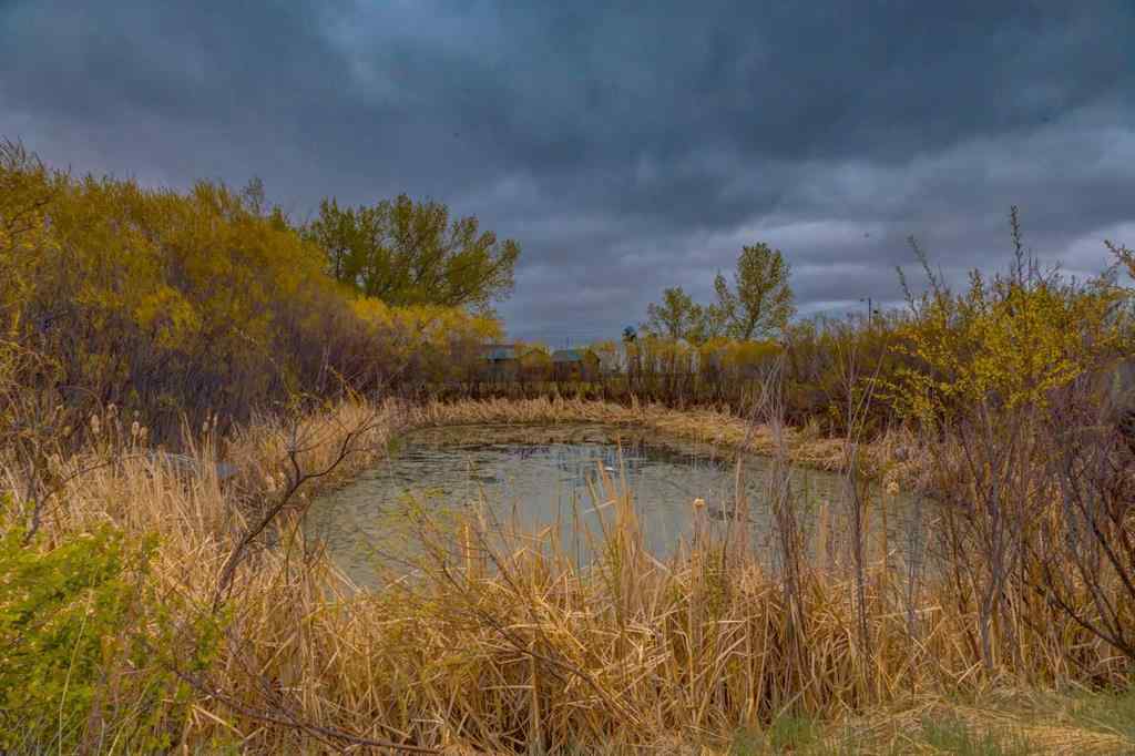 MLS® A2222836 - 222057/222055 HIGHWAY 24   in NONE Rural Wheatland County, Residential