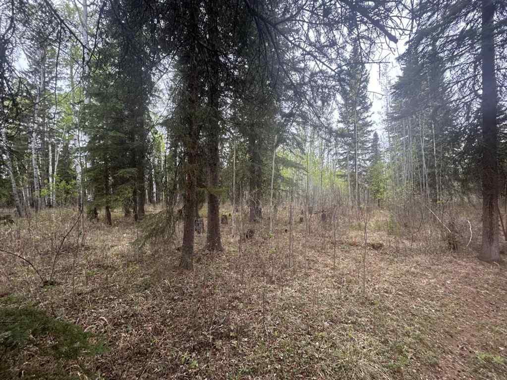 MLS® A2223048 - 148 Christina Lake Drive Rr   in Conklin Conklin, Land