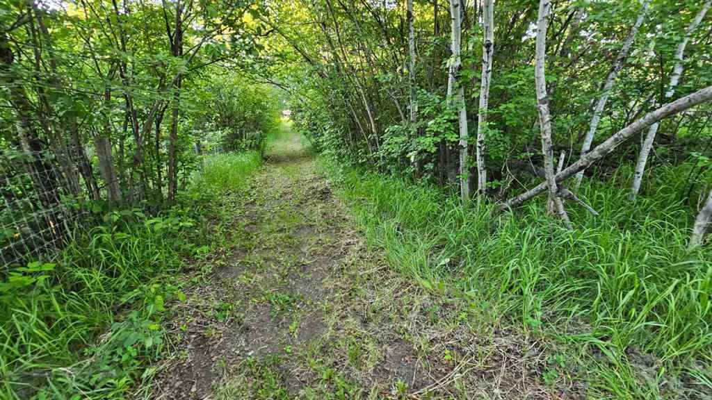 MLS® A2223635 - 5314 MUNICIPAL ROAD   in NONE Coronation, Residential