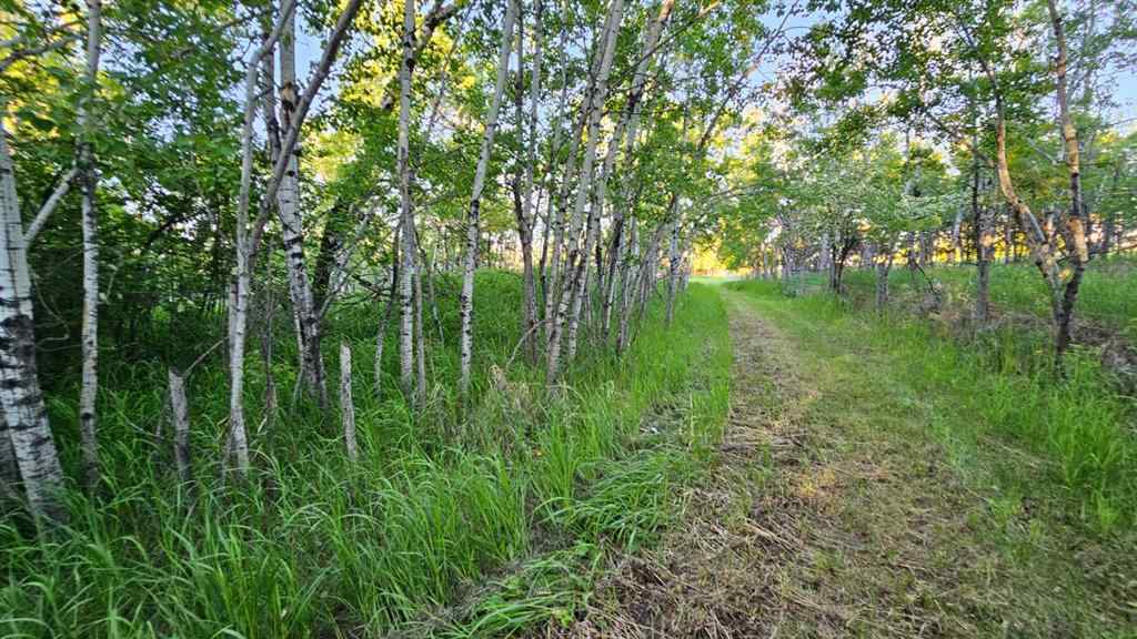 MLS® A2223635 - 5314 MUNICIPAL ROAD   in NONE Coronation, Residential