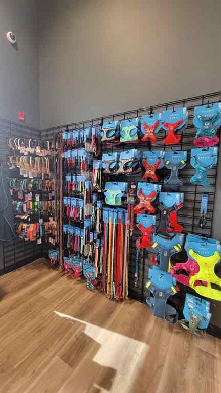 MLS® A2223721 - Unit #329 722 85 Street SW in West Springs Calgary, Commercial
