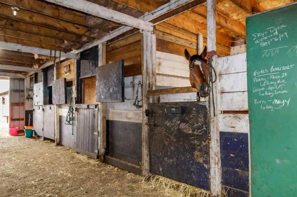 MLS® A2223876 - 25579 Twp Rd 382   in Joffre Bridge Rural Red Deer County, Agri-Business