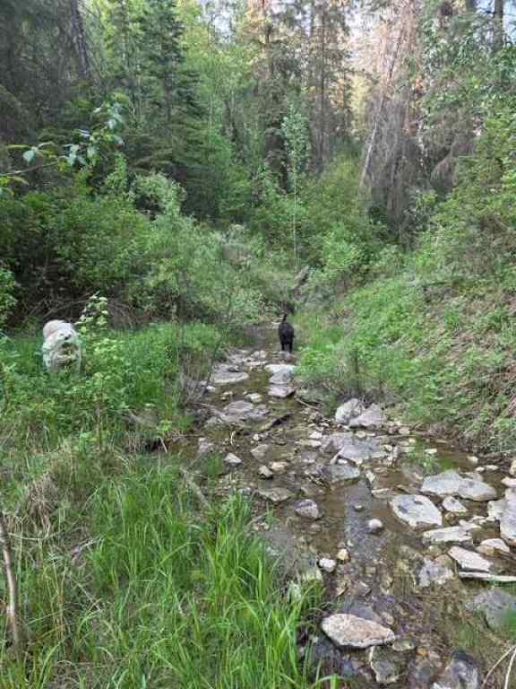 MLS® A2223876 - 25579 Twp Rd 382   in Joffre Bridge Rural Red Deer County, Agri-Business