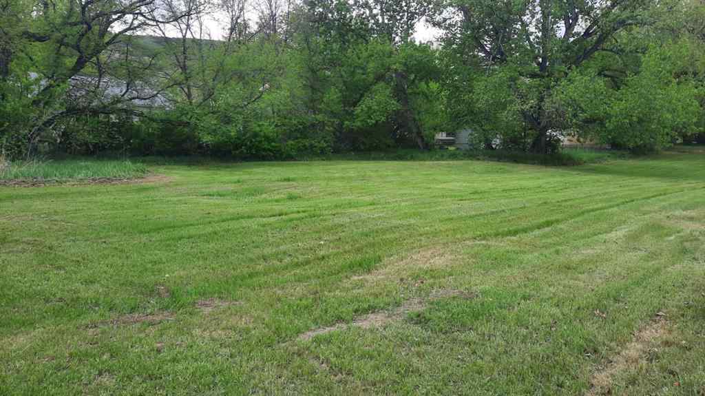 MLS® A2223882 - 219 6 Street  in East Coulee Drumheller, Land