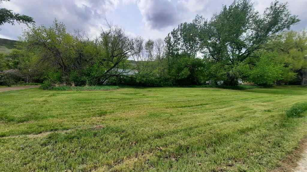 MLS® A2223882 - 219 6 Street  in East Coulee Drumheller, Land