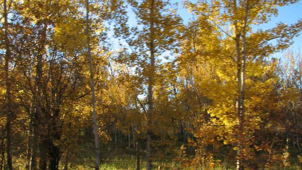 MLS® A2224046 - 17 Wood Heights Road  in NONE Rural Athabasca County, Land