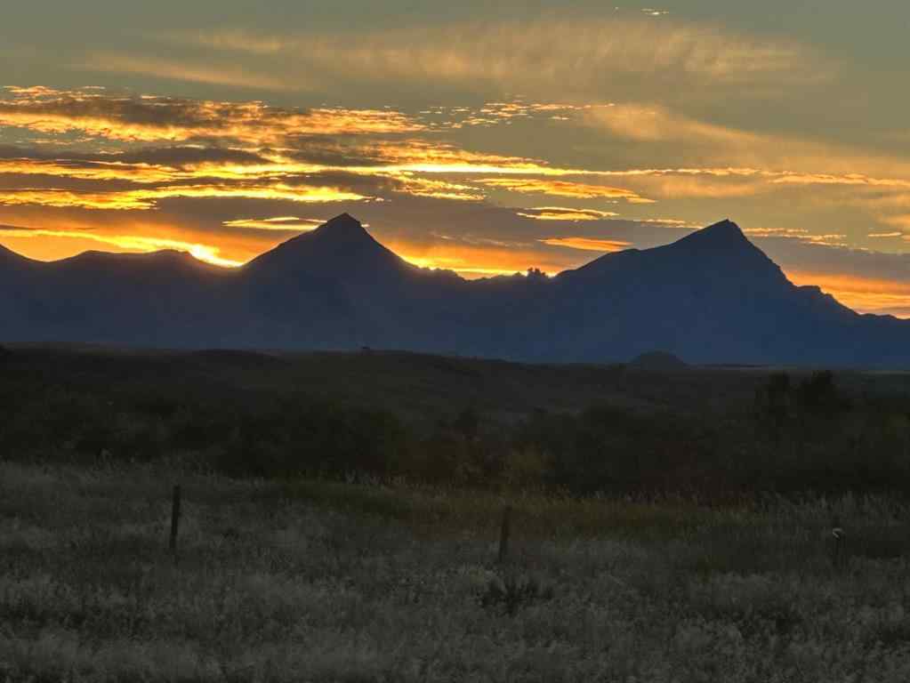 MLS® A2224095 - On RR 290   in NONE Twin Butte, Agri-Business