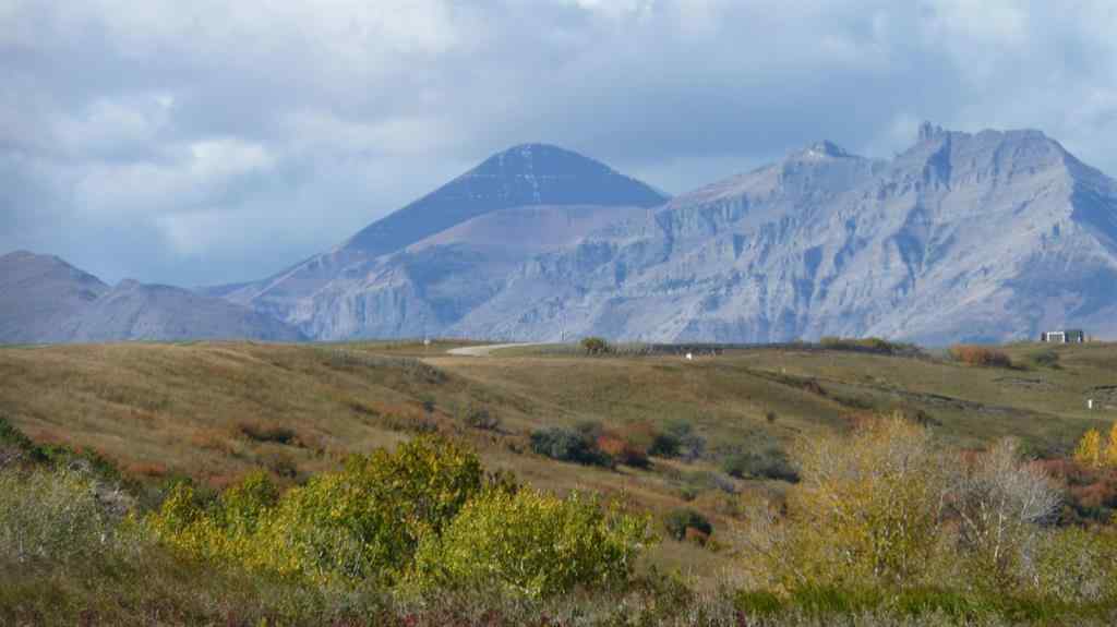 MLS® A2224095 - On RR 290   in NONE Twin Butte, Agri-Business